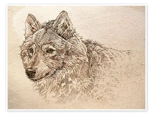 The Gray Wolf de Ashley Verkamp