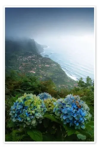 The North Coast of Madeira de Martin Podt