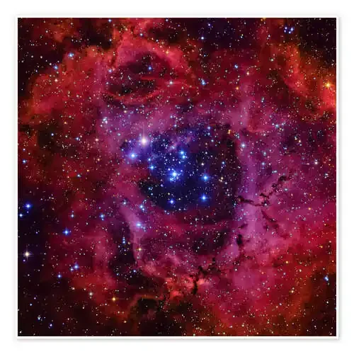 The Rosette Nebula de Roberto Colombari Stocktrek Images