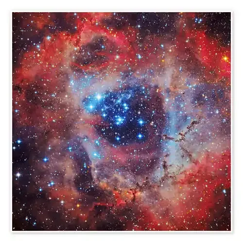 The Rosette Nebula de Roberto Colombari Stocktrek Images