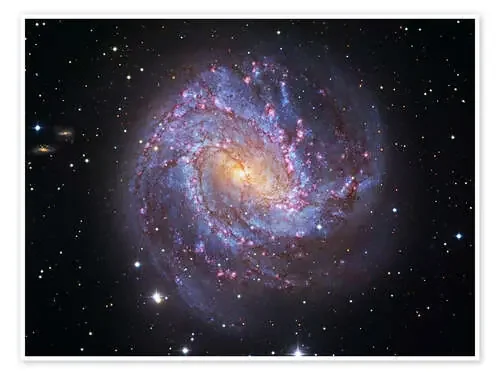 The Southern Pinwheel Galaxy de Robert Gendler Stocktrek Images