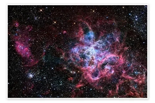 The Tarantula Nebula de R Jay GaBany Stocktrek Images