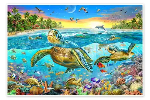 Turtle Cove de Adrian Chesterman MGL Licensing