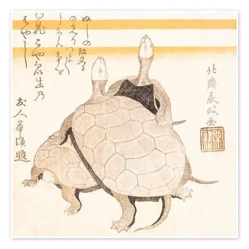 Turtles de Katsushika Hokusai Master Collection