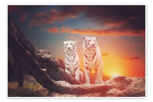 Two white tigers Editors Choice