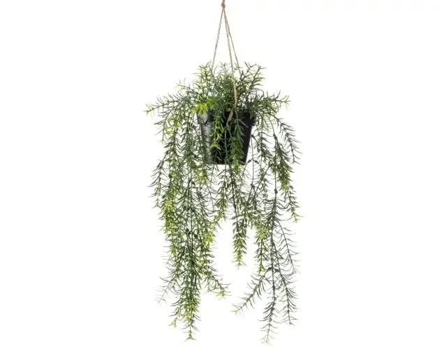 Ultima Occasione Emerald esparraguera artificial coLGante en maceta 50 cm | Brico Depôt