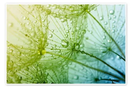 Una de mis gotas Editors Choice