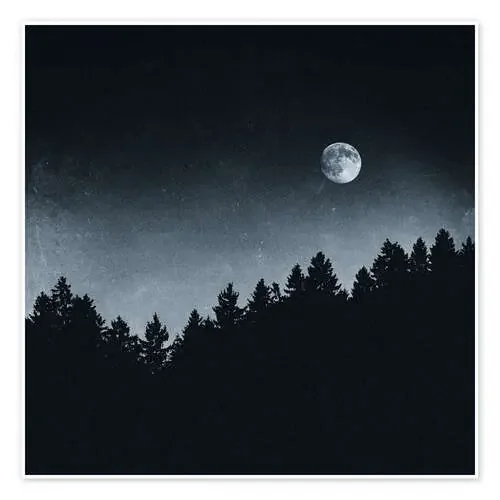 Under Moonlight de Tordis Kayma