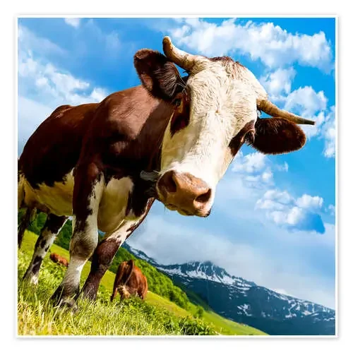 Vaca curiosa Editors Choice