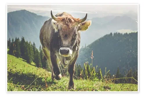 Vaca en las montañas de Michael Helmer