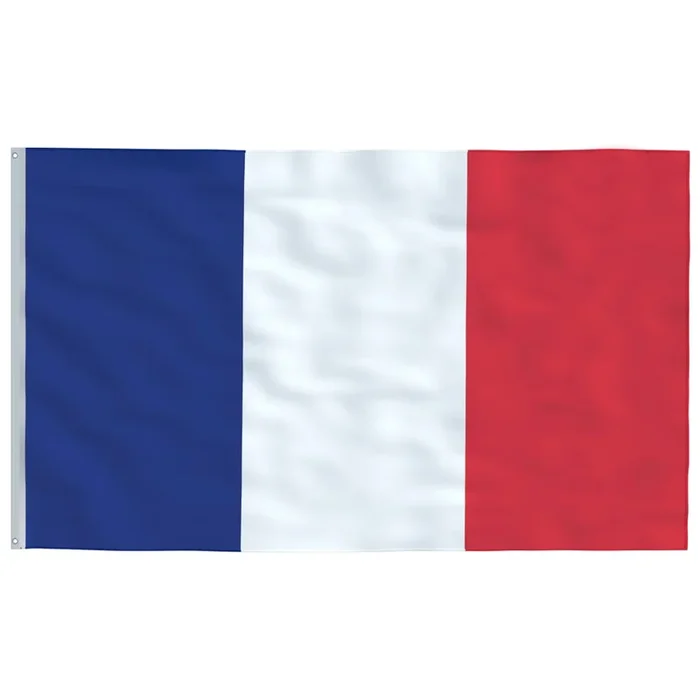 vidaXL Bandera de Francia 90×150 cm