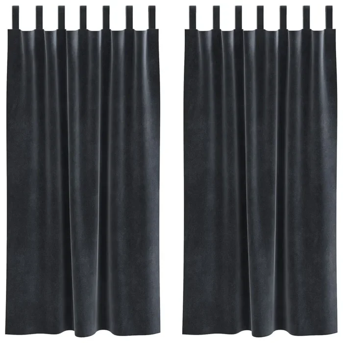 vidaXL Cortinas con cortinas 2 pcs Gris oscuro 140 x 175 cm Terciopelo (2)