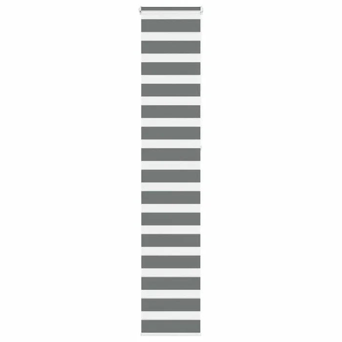 vidaXL Estor cebra gris oscuro 40x230cm tejido ancho 35,9 cm poliéster