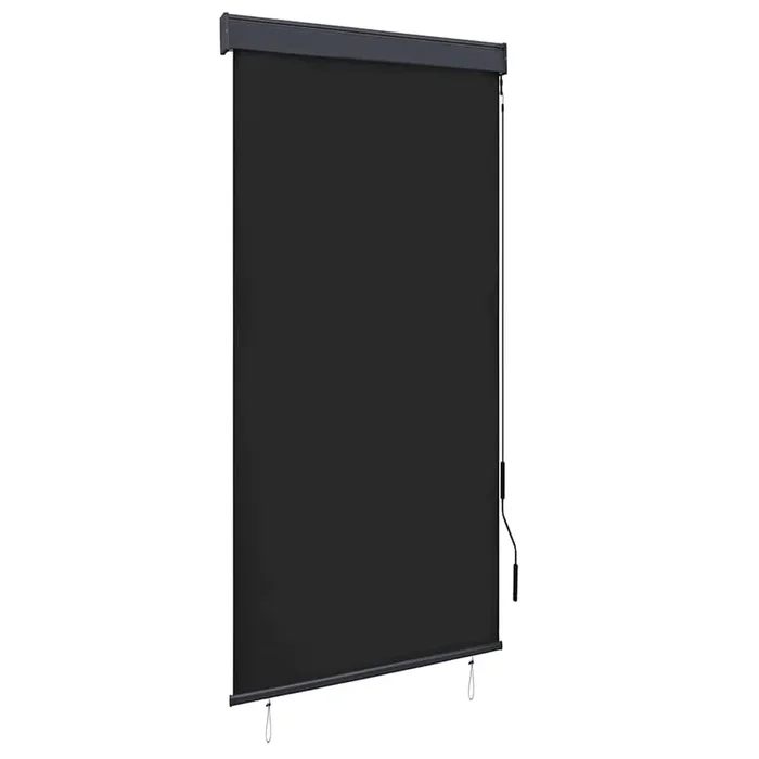 vidaXL Estor enrollable de exterior gris antracita 100×250 cm