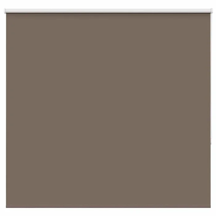vidaXL Estor Enrollable Opaco Color Café 165×150 cm Tela Ancho 161,6cm