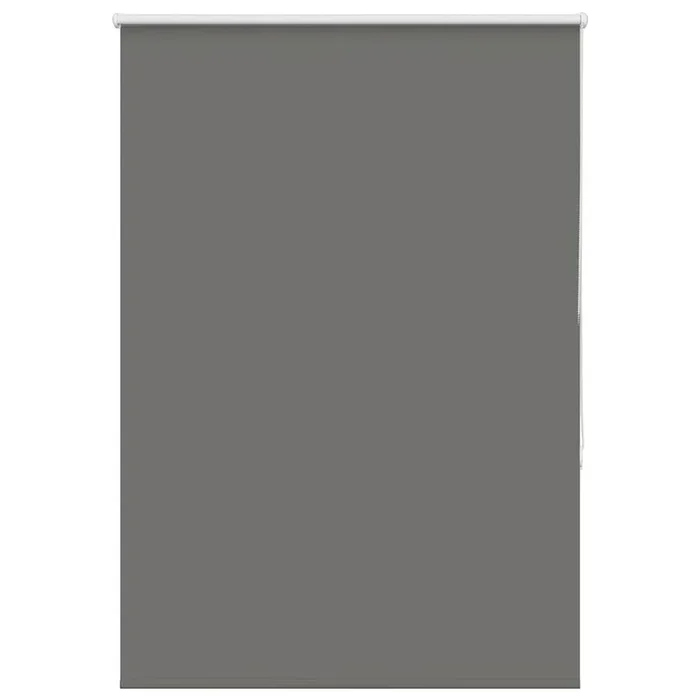 vidaXL Estor Enrollable Opaco gris 100×175 cm Tela Ancho 95,7 cm