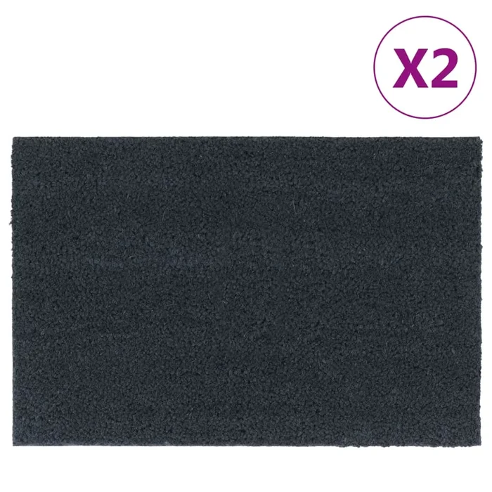 vidaXL Felpudos 2 unidades fibra de coco gris oscuro 40×60 cm