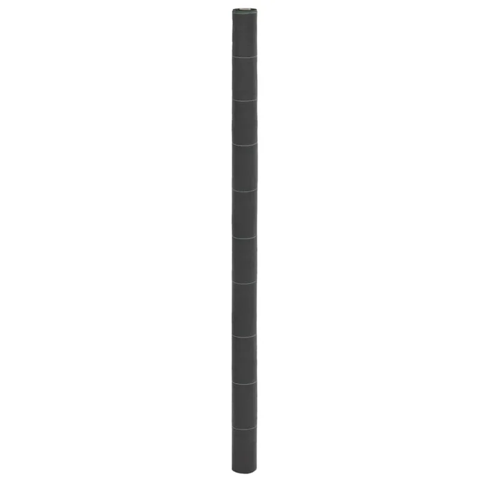 vidaXL Membrana para malezas PP negra 2×100 m (2)