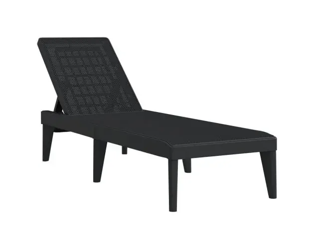 vidaXL tumbona de pp gris antracita 186x60x29 cm | Brico Depôt Nuova Collezione