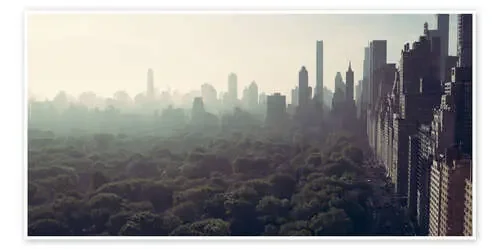 View of Central Park de Flo Klein