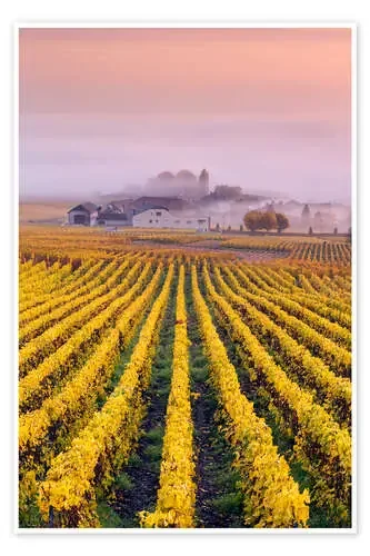 Vineyards in autumn, Champagne, France de Matteo Colombo
