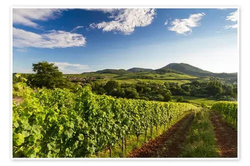 Vineyards in Germany de Frank Fischbach