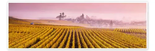 Vineyards panorama, Champagne de Matteo Colombo