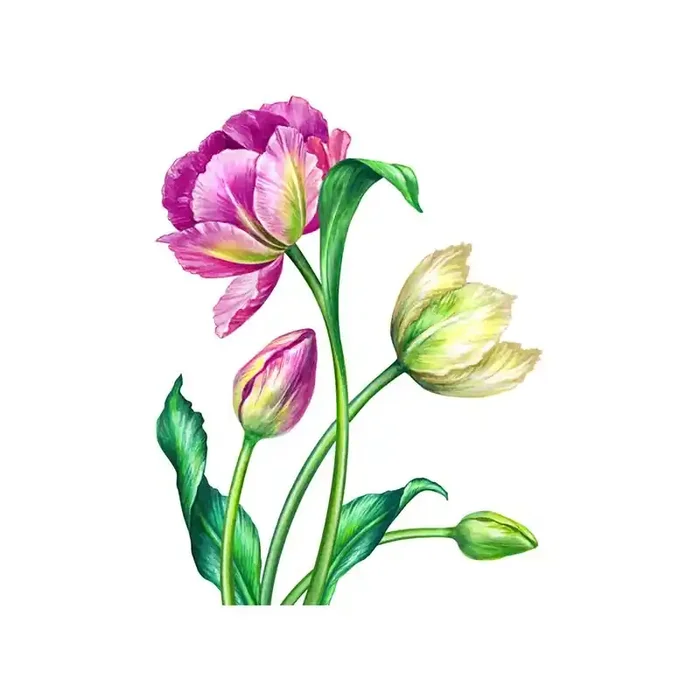 Vinilo Floral 1000