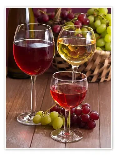 Vino en copas de Edith Albuschat