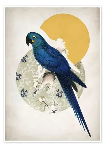 Vintage Macaw de MiaMia