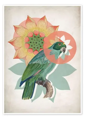 Vintage Parrot de MiaMia