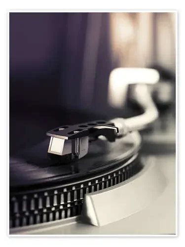 Vinyl de Edith Albuschat