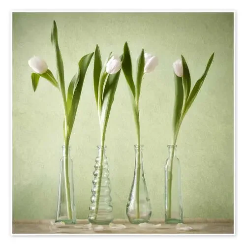 waiting for spring2 de Steffen Gierok
