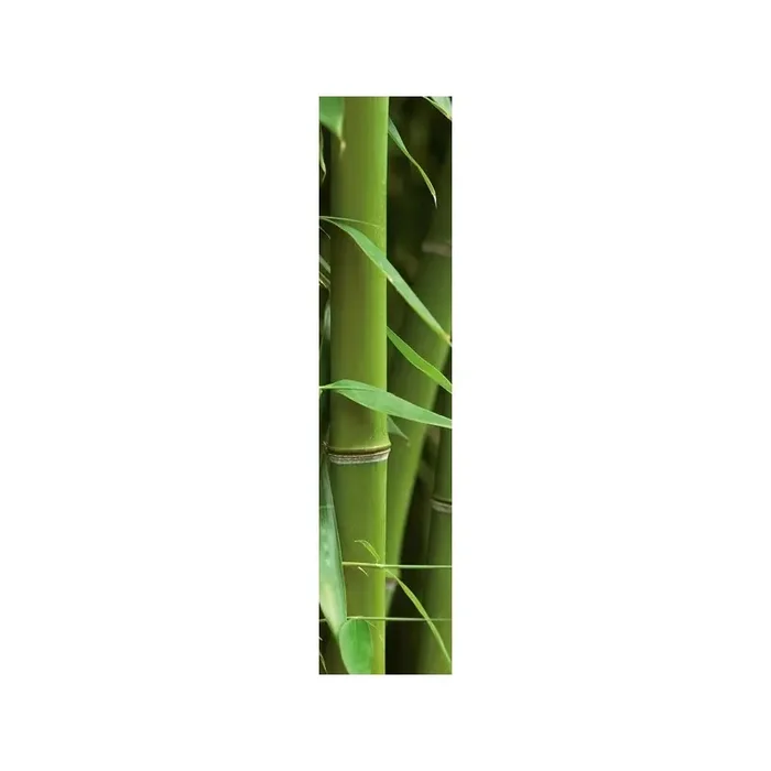 Wall Stripes Bamboo 74503