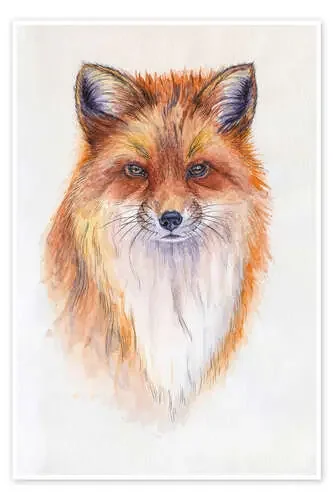 Watercolour Fox de Kidz Collection Editors Choice