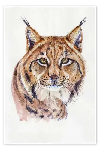 Watercolour Lynx de Kidz Collection Editors Choice