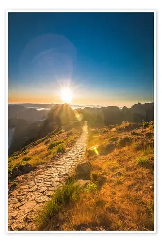 way to sun de Fleischipixel