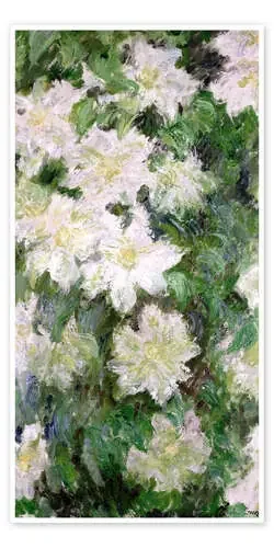 White Clematis de Claude Monet Bridgeman Images