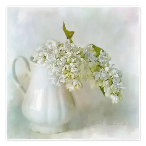 White Lilac de Lizzy Pe