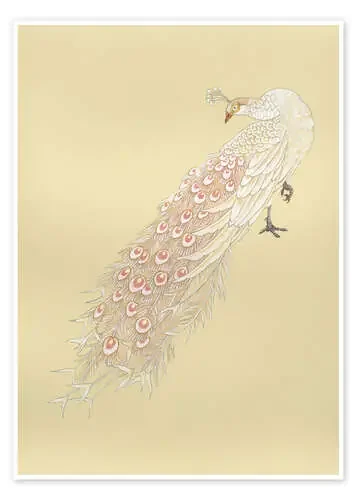 White peacock de Haruyo Morita MGL Licensing