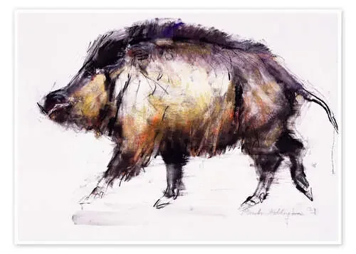 Wild Boar de Mark Adlington Bridgeman Images