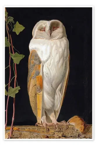 William James Webbe – The White Owl Master Collection