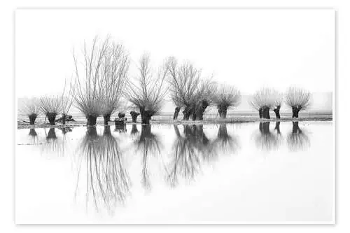 Willow trees in the mirror image of the flood de Ingo Gerlach
