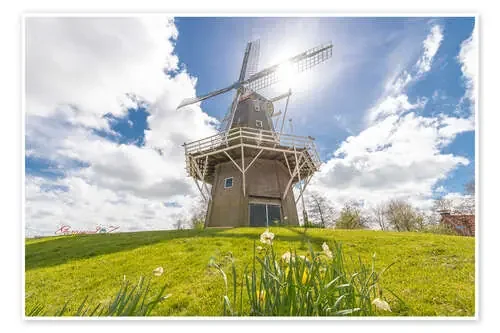 Windmill in the sun de George Pachantouris