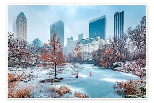 Winter Central Park, New York de Sascha Kilmer