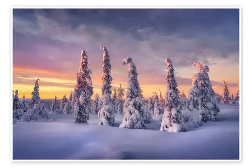 Winter dream Lapland de André Wandrei