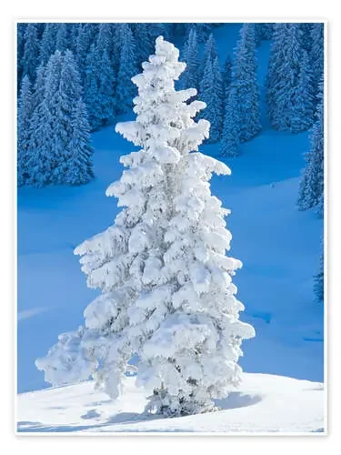 Winter in the Alps Editors Choice