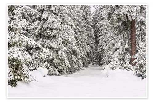 Winter in the Thuringian Forest I de Rico Ködder