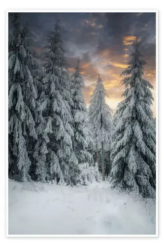 Winter Magic de Stefan Becker