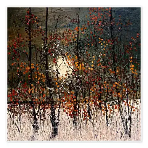 Winter Moon de Justyna Kopania